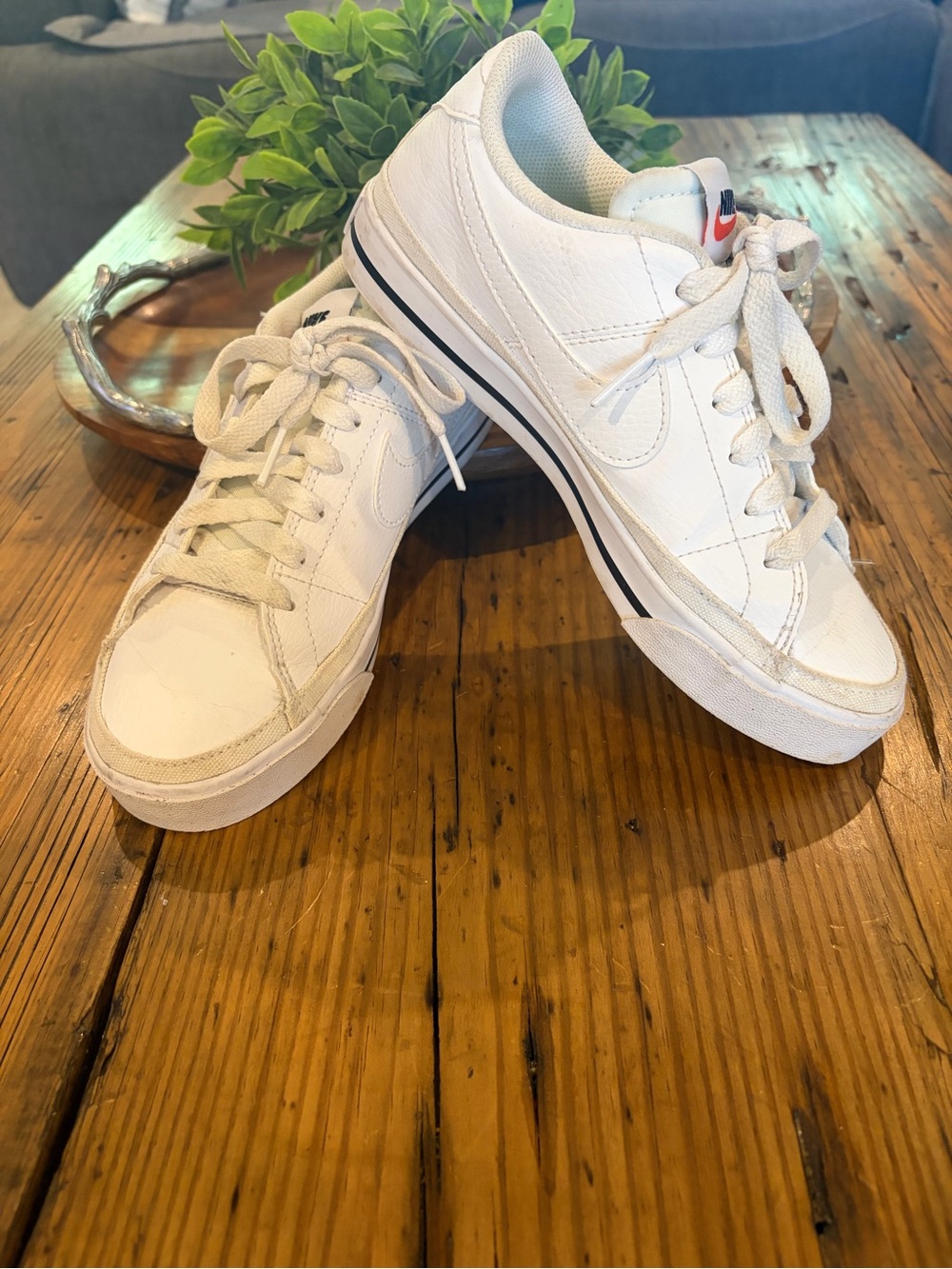 Nike Women’s White Low-Top Sneakers with Black Stripe
